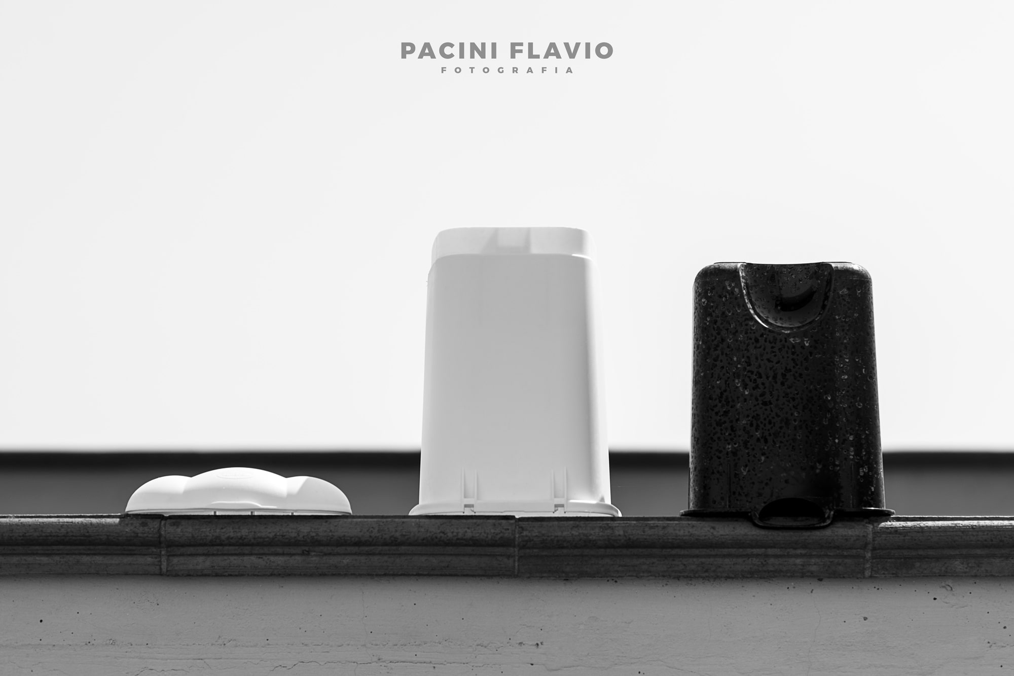 La pattumiera lavata